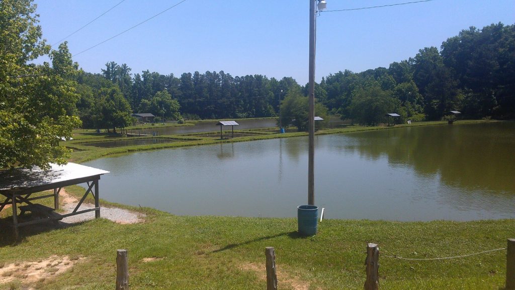 Clearsprings Fishing Lake