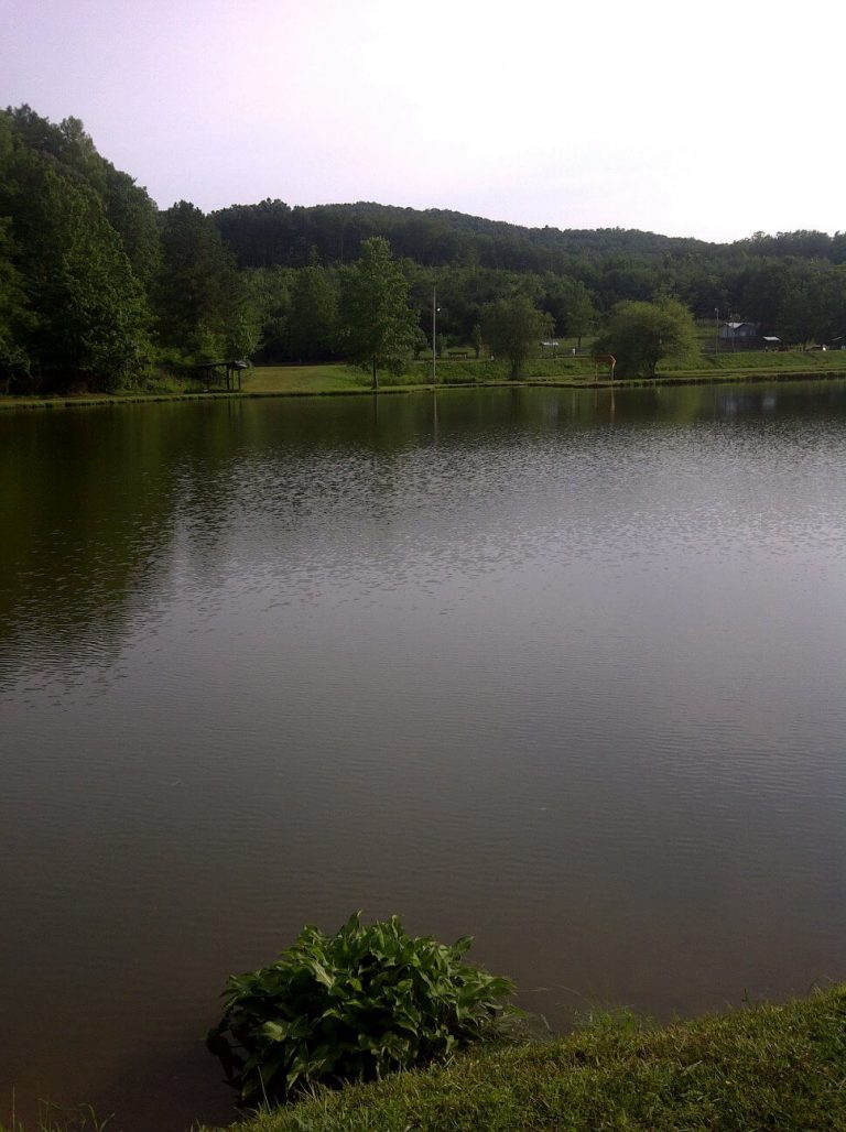 Clearsprings Fishing Lake